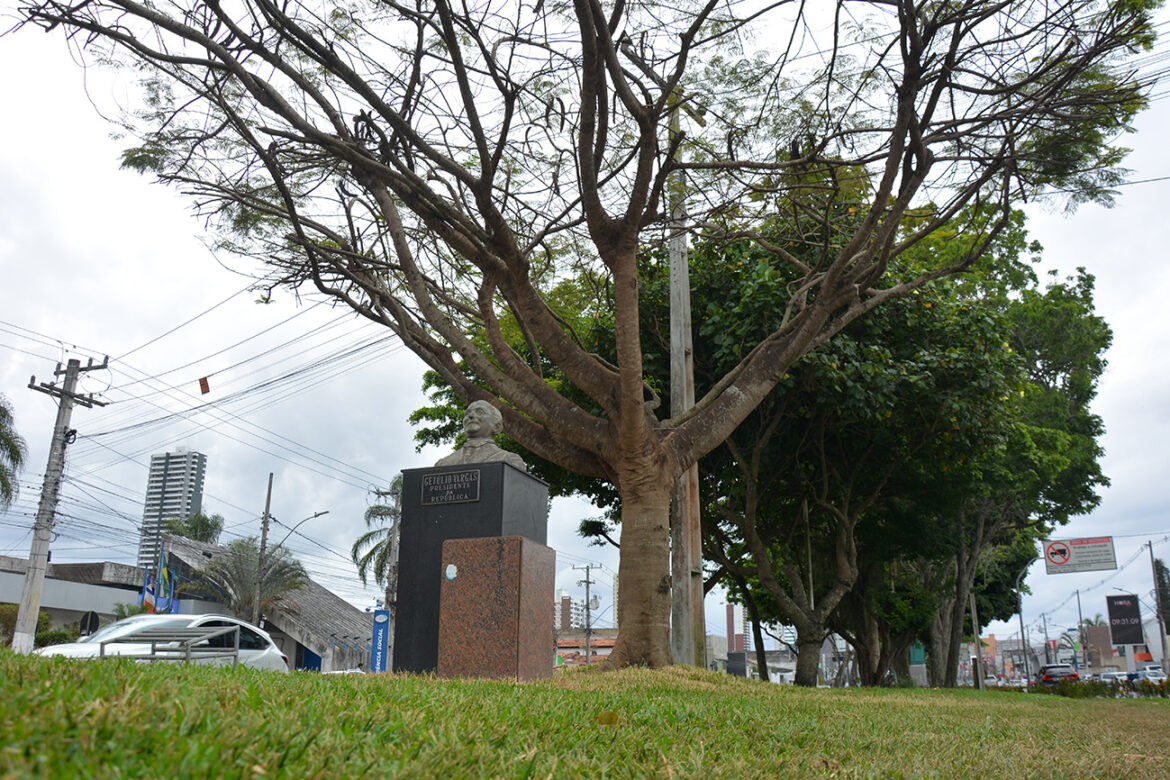 Canteiro Avenida Getulio Vargas Foto Valto Novaes